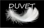 Logo Duvet