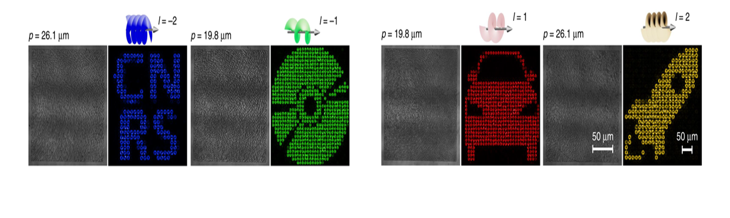 Microscopy images