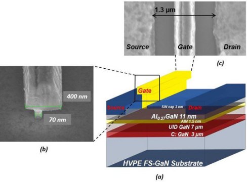 Microcopy images and schema of structure