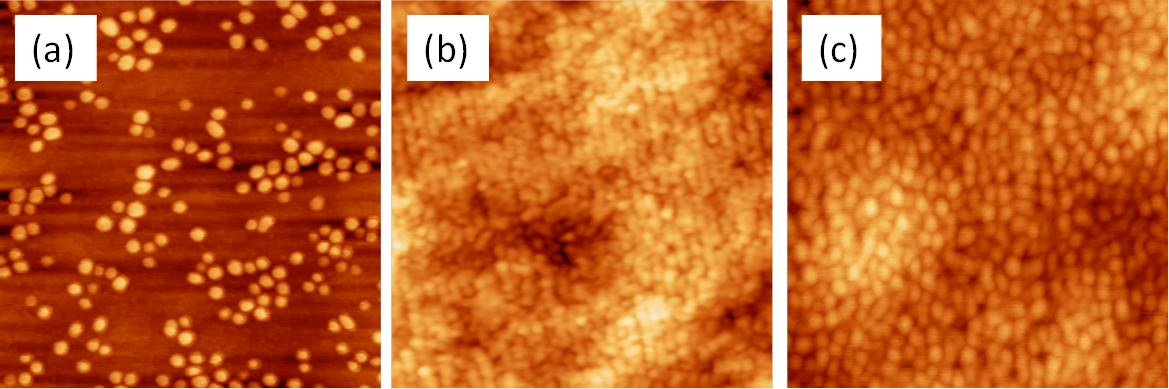 Images de microscopie à force atomique (500 x 500) nm2 de boîtes quantiques