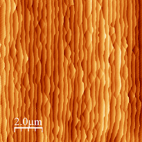 Graphène épitaxié sur un substrat de 6H-SiC de 2 pouces de diamètre, 
		ici morphologie