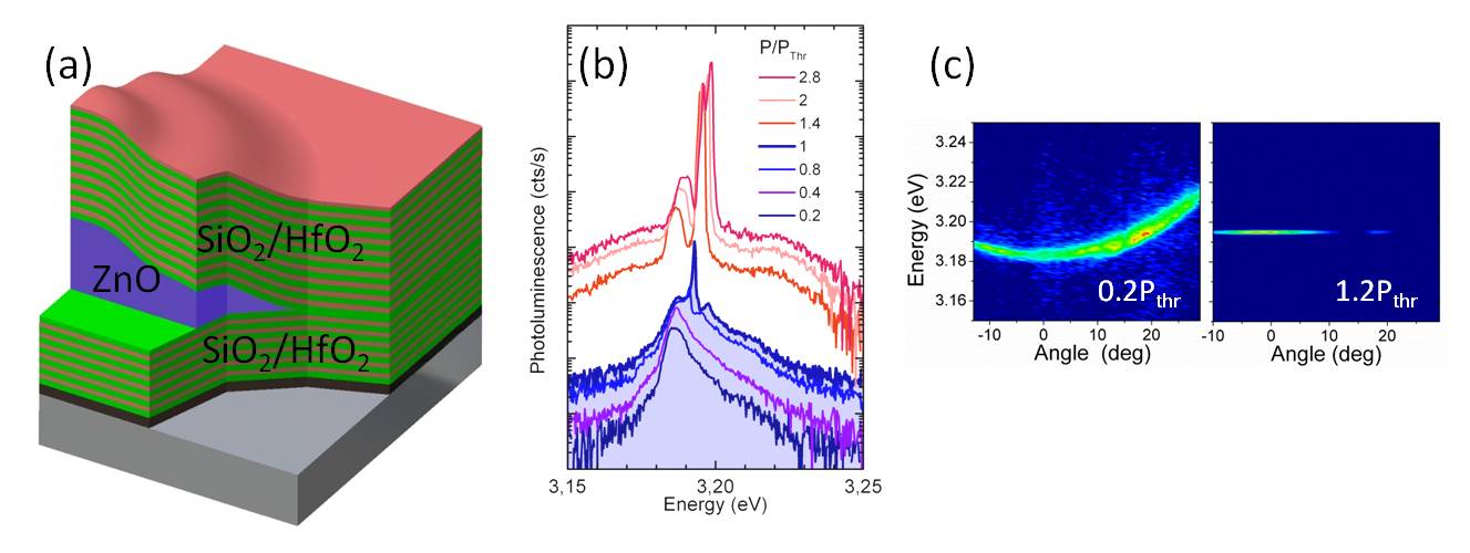 Représentation schématique d'une microcavité totalement hybride à base de ZnO