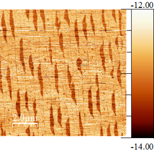 Image de phase AFM de graphène sur SiC
