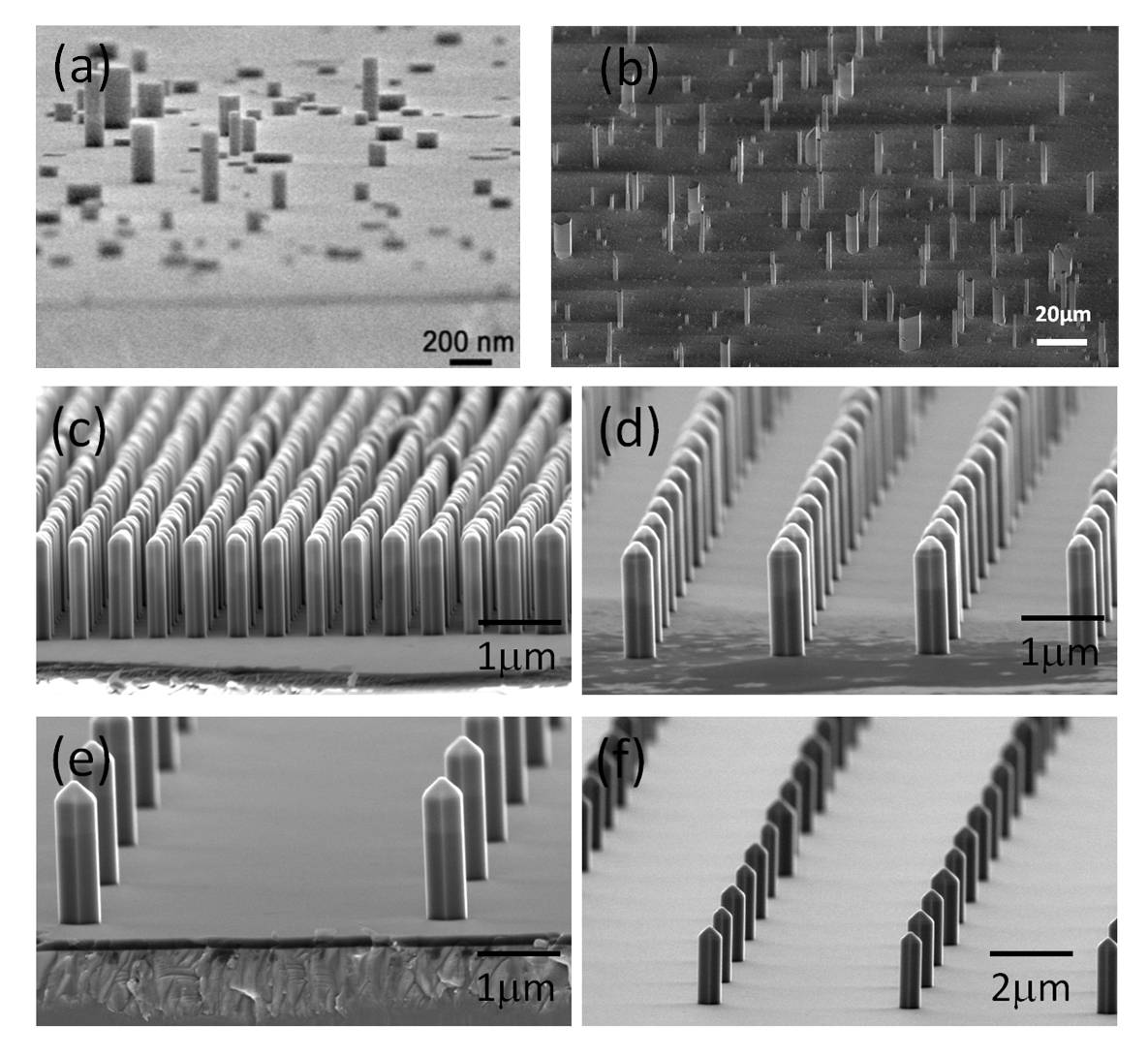 Images par microscopie électronique à 
         balayage de nano et microfils