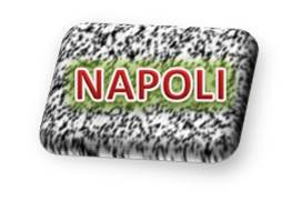 Logo Napoli