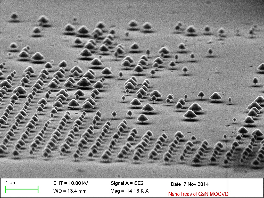 NanoTrees_Of_GaN.jpg