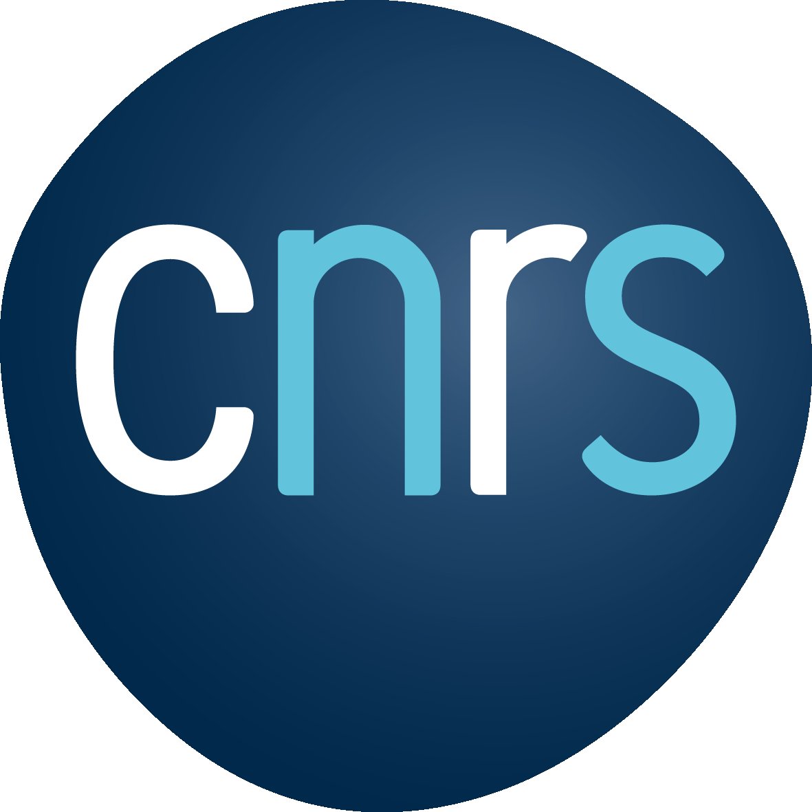 Logo du CNRS