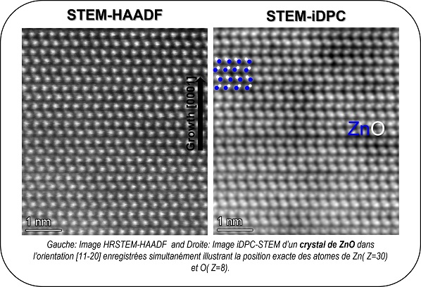 Imagerie à haute résolution des éléments légers par iDPC-STEM