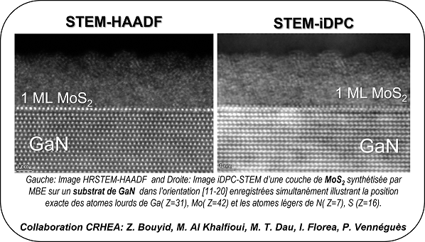Imagerie à haute résolution des éléments légers par iDPC-STEM