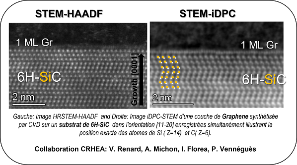 Imagerie à haute résolution des éléments légers par iDPC-STEM