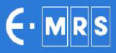 Logo E-MRS