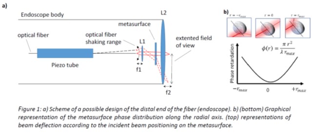 scheme as possible design of the distal end of the fiber (endoscope